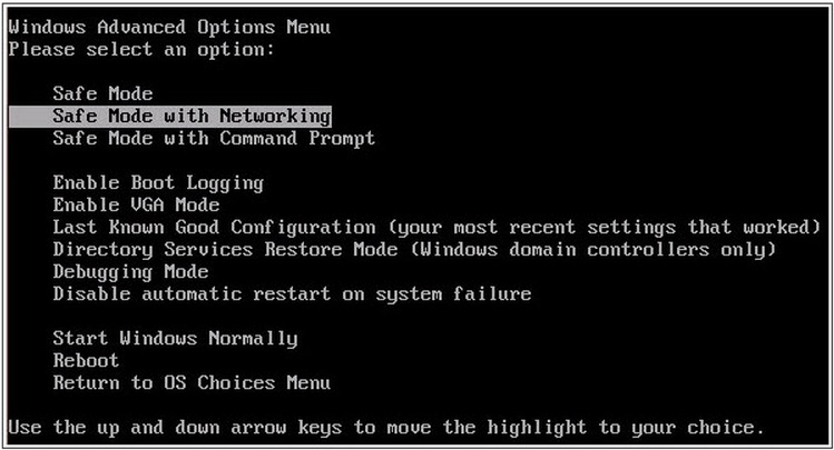 safe-mode-with-networking