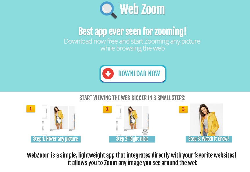 remove web zoom