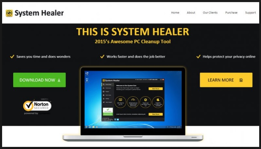 remove System Healer