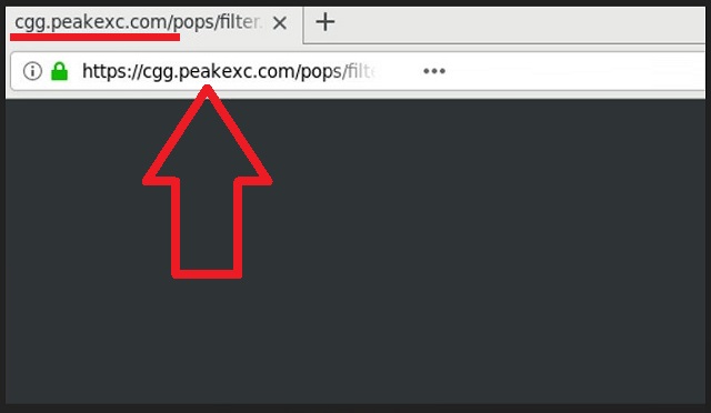 Remove Cgg.peakexc.com