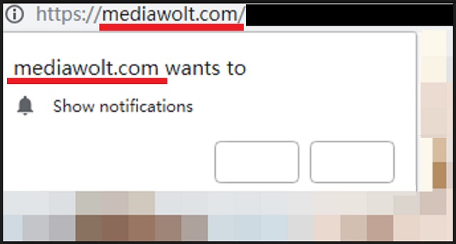 Remove Mediawolt.com