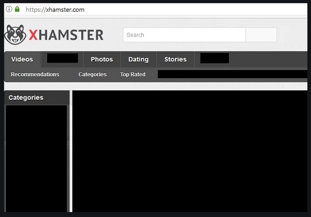 Hamsterx.Com