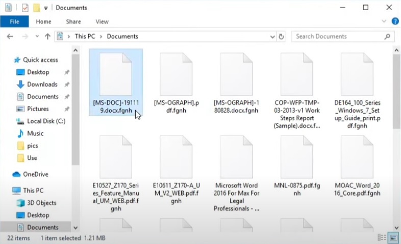 fgnh-file-virus-ransomware